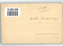 38690 W3387 Vienenburg Foto AK Hochwasser-Katastrophe Nähe Vienenburg Ort handschriftlich