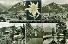 6600 Reutte AK mit gepresstem Edelweiß Applikation echtes getrocknetes gepresstes Edelweiß unter Schutzfolie