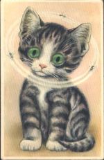 Katze Augen aus Plastik Katze Augen AK