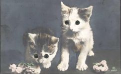 Augen aus Glas Katze Augen AK