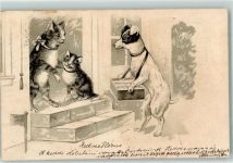 Hund mit einem Bauchladen AK Katze 1906 Lithographie / Prägedruck
