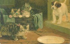 Augen mit kleinen Strasssteinchen Welpe sign. B Cabbe Katze Prägedruck