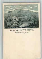 31737 W3262 Steinbergen , Wesergeb BOAKC Vorläufer Druck 1880 - 1889 Hotel Wolbrecht Lithographie