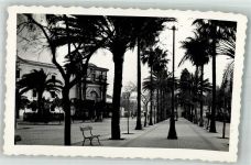 Cadiz Foto AK Jerez de la Frontera Allée du Marqiis de Maison Domecq
