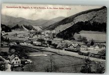 3193 St. Aegyd am Neuwalde Foto AK Bahnhof Eisenbahn