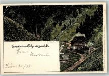 Gruss aus Schwarzwaldhaus Velten Verlag Nr. 5 Daur, H. 1898 Lithographie / Künstlerkarte