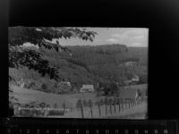 57339 W5927 Zinse GLASNEGATIV