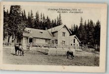 2763 Thal - Unterberg-Schutzhaus des österr. Touristenklub Pferde
