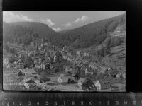 67471 W6738 Elmstein GLASNEGATIV