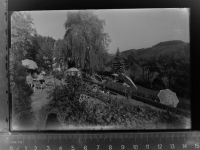 59969 W5789 Liesen GLASNEGATIV Pension Steinhof