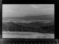 56766 W5447 Ulmen GLASNEGATIV