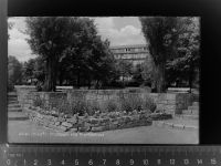 59227 W4730 Ahlen , Westf GLASNEGATIV Stadtpark u. Krankenhaus