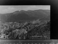 38685 W3394 Lautenthal GLASNEGATIV