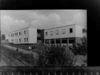 66957 W6781 Eppenbrunn GLASNEGATIV