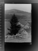 35088 W3559 Dodenau GLASNEGATIV Waldpension