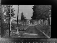56235 W5412 Ransbach-Baumbach GLASNEGATIV
