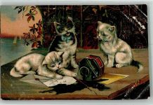 W4902 Bad Salzuflen Tintenfaß Schreibfeder Hoffmann`s Stärkefabriken AG Katze 1909 Werbe AK