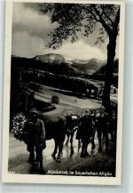 Alpabtrieb bayrischen Allgäu Marke bildseitig Trachten Bayern Foto AK