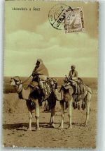 Suez Foto AK Tracht Kamel