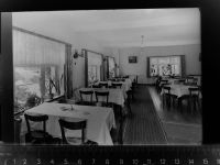54550 W5568 Daun GLASNEGATIV Hotel Mühler