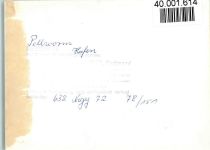25845 W2251 Pellworm FOTO KEINE AK Hafen Schiffe