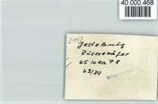 21266 W2112 Jesteburg FOTO KEINE AK Sanatorium Rüsselkäfer, Bibliothek