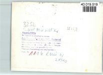 31848 W3252 Bad Münder am Deister FOTO KEINE AK Blick zur Kirche