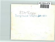 94209 W8370 Regen FOTO KEINE AK Burgruine Weißenstein Gipfelkreuz