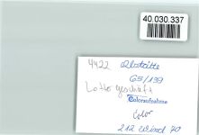 48683 W4422 Alstätte , Kr Ahaus FOTO KEINE AK Lotto-Geschäft