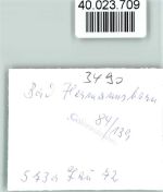 33014 W3490 Bad Hermannsborn FOTO KEINE AK