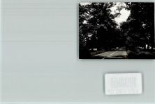 33189 W4797 Schlangen FOTO KEINE AK Landstraße