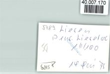 59969 W5789 Liesen FOTO KEINE AK Pension Liesetal