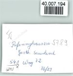 59964 W5789 Referinghausen FOTO KEINE AK Gasth. Sauerland Innenaufnahme