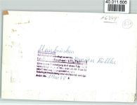 35716 W6344 Steinbrücken , Dillkr FOTO KEINE AK Pension Röllke Innenaufnahme Eß- u. Aufenthaltsraum