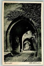 35619 W6333 Braunfels - Alte Schlosstore
