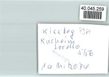 88353 W7964 Kißlegg FOTO KEINE AK Kurheim Loretto