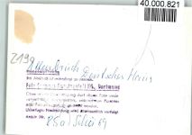 27472 W2190 Altenbruch FOTO KEINE AK Hotel Deutsches Haus, Innenansicht, Essraum