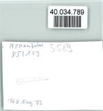 34593 W3589 Appenfeld FOTO KEINE AK