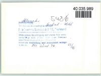 53505 W5486 Altenahr FOTO KEINE AK Central-Hotel Innenaufnahme
