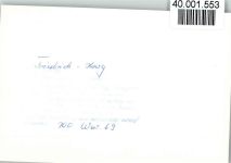 25718 W2228 Friedrichskoog , Dithm FOTO KEINE AK Kirche