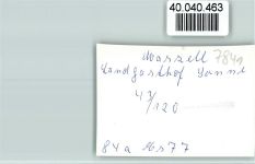 79429 W7841 Marzell FOTO KEINE AK Landgasthof Sonne