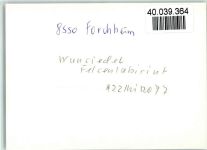 91301 W8550 Forchheim , Oberfr FOTO KEINE AK Felsenlabyrinth Wunsiedel
