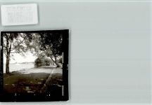 26160 W2903 Bad Zwischenahn FOTO KEINE AK Bürgerpark