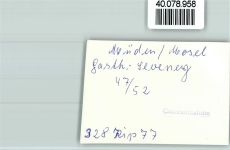56254 W5401 Müden (Mosel) FOTO KEINE AK Gasthaus Seveney