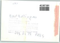 79415 W7848 Bad Bellingen , Baden FOTO KEINE AK Kurpark, Fahnen