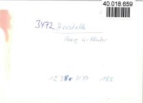 37688 W3472 Herstelle FOTO KEINE AK Luftaufnahme Burg und Kloster