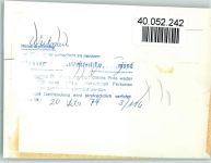 87480 W8961 Weitnau FOTO KEINE AK Bauernhof Pflanzel Ponys