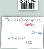 53489 W5485 Bad Bodendorf FOTO KEINE AK Freibad