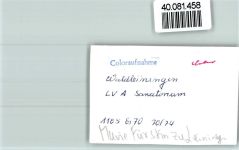 W6933 Waldleiningen , Baden Fürstin zu Leiningen Gemälde FOTO KEINE AK