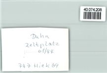 66994 W6783 Dahn FOTO KEINE AK Camping
